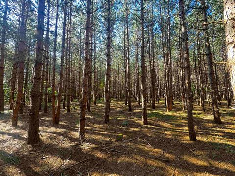 Tiny photo for 80 AC 9th Acres, Adams, WI 53910 (MLS # 2009944)