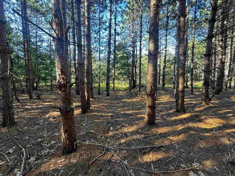 Tiny photo for 80 AC 9th Acres, Adams, WI 53910 (MLS # 2009944)