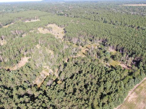 Tiny photo for 80 AC 9th Acres, Adams, WI 53910 (MLS # 2009944)