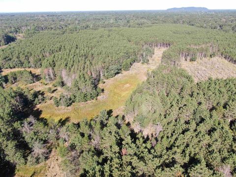 Tiny photo for 80 AC 9th Acres, Adams, WI 53910 (MLS # 2009944)