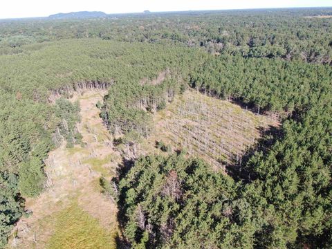 Tiny photo for 80 AC 9th Acres, Adams, WI 53910 (MLS # 2009944)