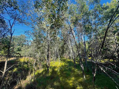 Tiny photo for 80 AC 9th Acres, Adams, WI 53910 (MLS # 2009944)
