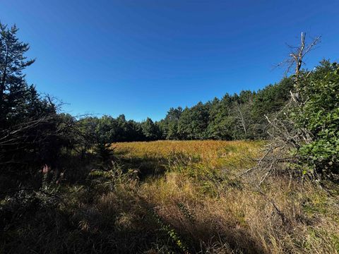 Tiny photo for 80 AC 9th Acres, Adams, WI 53910 (MLS # 2009944)
