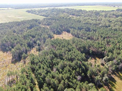 Tiny photo for 80 AC 9th Acres, Adams, WI 53910 (MLS # 2009944)