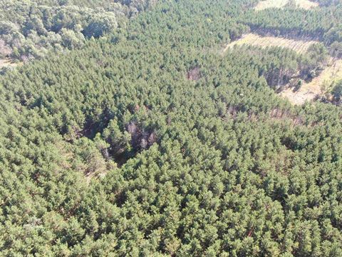 Tiny photo for 80 AC 9th Acres, Adams, WI 53910 (MLS # 2009944)