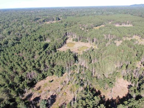 Tiny photo for 80 AC 9th Acres, Adams, WI 53910 (MLS # 2009944)