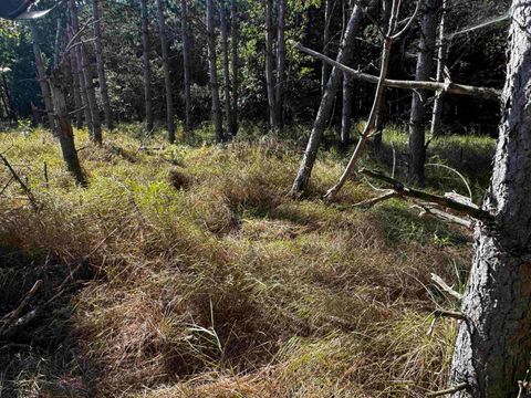 Tiny photo for 80 AC 9th Acres, Adams, WI 53910 (MLS # 2009944)