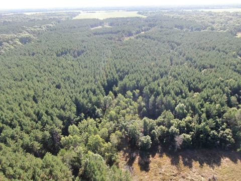Tiny photo for 80 AC 9th Acres, Adams, WI 53910 (MLS # 2009944)