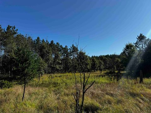 Tiny photo for 80 AC 9th Acres, Adams, WI 53910 (MLS # 2009944)