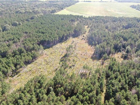 Tiny photo for 80 AC 9th Acres, Adams, WI 53910 (MLS # 2009944)