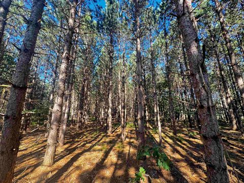 Tiny photo for 80 AC 9th Acres, Adams, WI 53910 (MLS # 2009944)