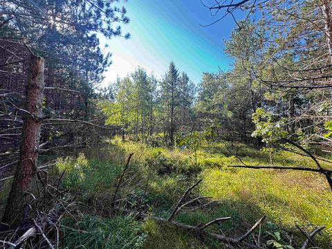 Tiny photo for 80 AC 9th Acres, Adams, WI 53910 (MLS # 2009944)