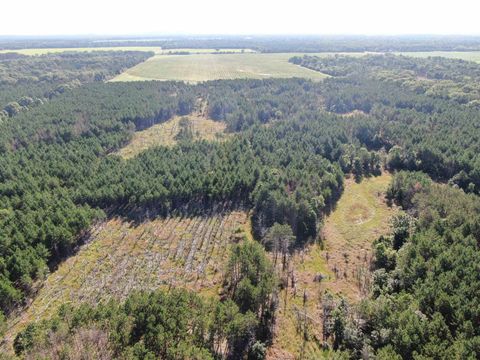 Tiny photo for 80 AC 9th Acres, Adams, WI 53910 (MLS # 2009944)