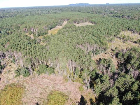Tiny photo for 80 AC 9th Acres, Adams, WI 53910 (MLS # 2009944)