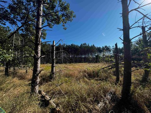 Tiny photo for 80 AC 9th Acres, Adams, WI 53910 (MLS # 2009944)