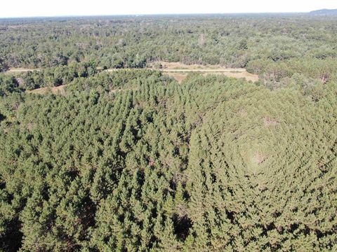 Tiny photo for 80 AC 9th Acres, Adams, WI 53910 (MLS # 2009944)