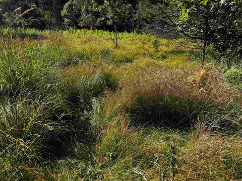 Tiny photo for 80 AC 9th Acres, Adams, WI 53910 (MLS # 2009944)
