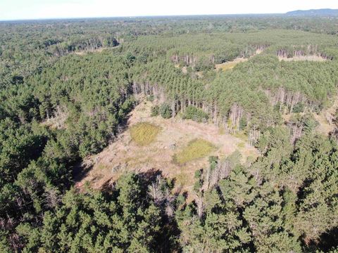 Tiny photo for 80 AC 9th Acres, Adams, WI 53910 (MLS # 2009944)