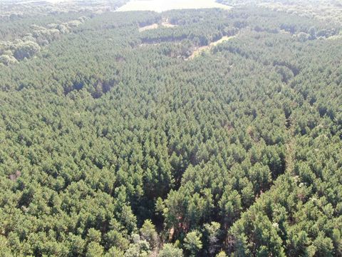 Tiny photo for 80 AC 9th Acres, Adams, WI 53910 (MLS # 2009944)