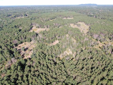 Tiny photo for 80 AC 9th Acres, Adams, WI 53910 (MLS # 2009944)