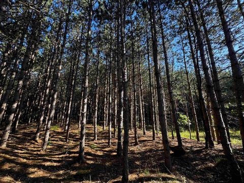 Tiny photo for 80 AC 9th Acres, Adams, WI 53910 (MLS # 2009944)