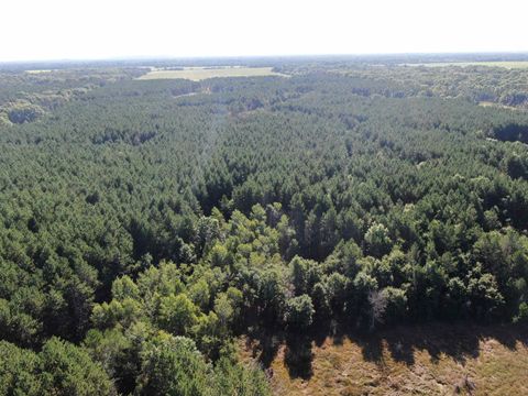 Tiny photo for 80 AC 9th Acres, Adams, WI 53910 (MLS # 2009944)