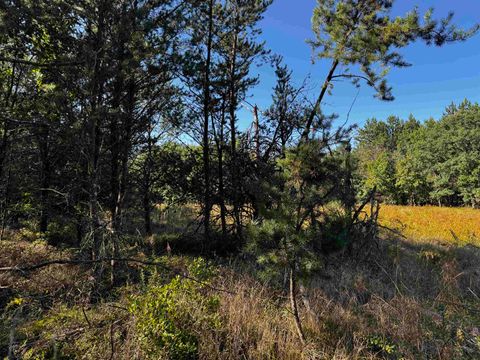 Tiny photo for 80 AC 9th Acres, Adams, WI 53910 (MLS # 2009944)
