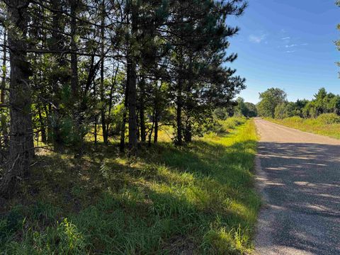 Tiny photo for 80 AC 9th Acres, Adams, WI 53910 (MLS # 2009944)