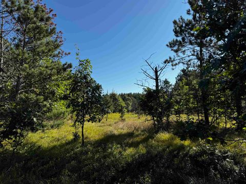 Tiny photo for 80 AC 9th Acres, Adams, WI 53910 (MLS # 2009944)