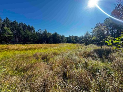 Tiny photo for 80 AC 9th Acres, Adams, WI 53910 (MLS # 2009944)