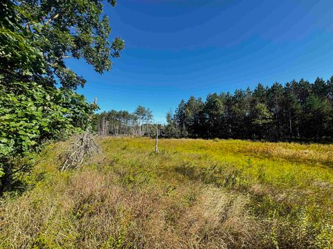 Tiny photo for 80 AC 9th Acres, Adams, WI 53910 (MLS # 2009944)