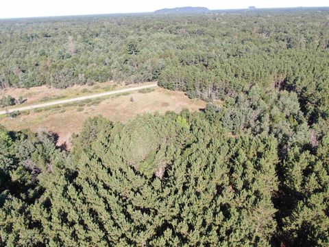 Tiny photo for 80 AC 9th Acres, Adams, WI 53910 (MLS # 2009944)