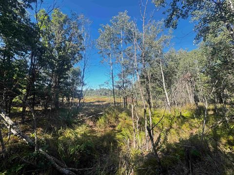 Tiny photo for 80 AC 9th Acres, Adams, WI 53910 (MLS # 2009944)