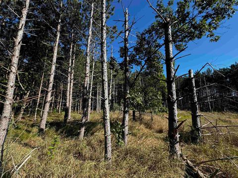 Tiny photo for 80 AC 9th Acres, Adams, WI 53910 (MLS # 2009944)
