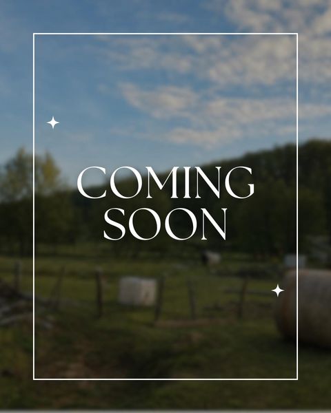 Photo of 16047 Fry Drive, Cazenovia, WI 53924 (MLS # 2021749)