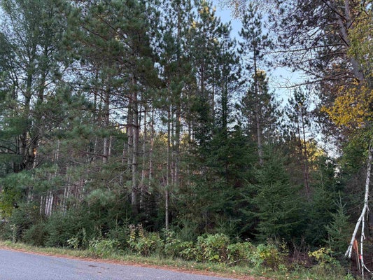 PLANTATION RD, PELICAN LAKE, WI 54463 - Image fdd4baa0c655bf5dee99f2c26abe10a6/4250160715