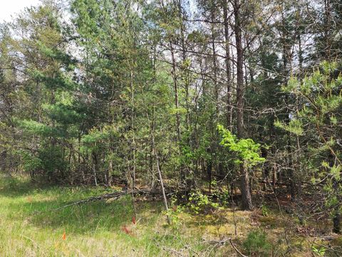 Tiny photo for Lot 303 Cypress Drive, Arkdale, WI 54613 (MLS # 2000606)
