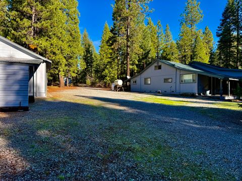 Photo of 33250 Plateau Pines Road, Shingletown, CA 96088 (MLS # 25-5128)