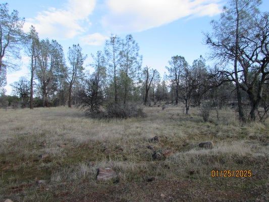 CA-44, MILLVILLE, CA 96062 - Image 00d3cf60b6909cc2efe2b6a8a583c870/2847430313