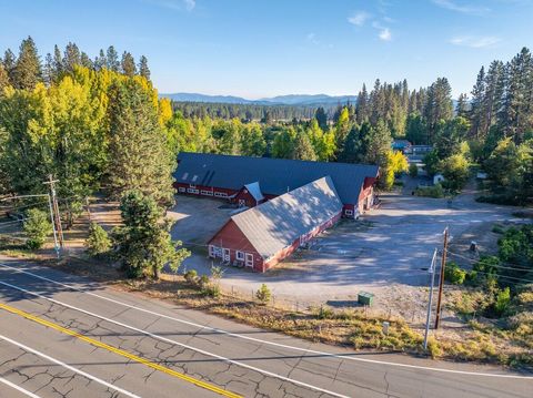Photo of 110 Squaw Valley Road, McCloud, CA 96057 (MLS # 25-5174)