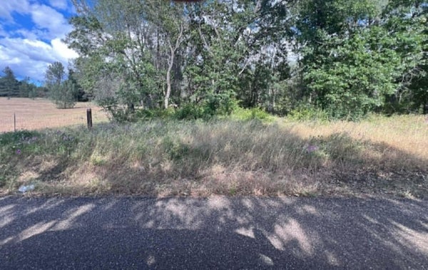 MANTON SCHOOL RD, MANTON, CA 96059 - Image 1270ca4ccb83f7b8d905e1dba48e32f4/790067033