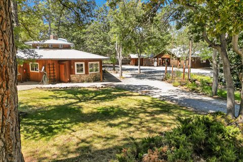 Photo of 40015 Lava Court, Cassel, CA 96016 (MLS # 25-3884)
