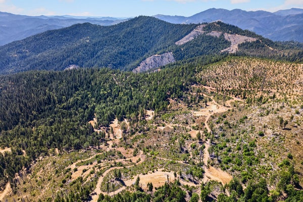 1120 W UPPER DEMOCRAT GULCH RD, WEAVERVILLE, CA 96093 - Image 1b132cce36809738c8bfc3448fd3df01/687132622