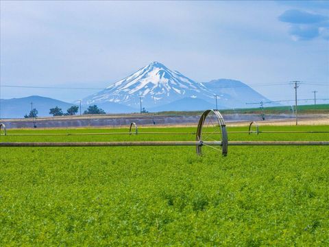 Photo of 2935 Sheep Mountain Road, Macdoel, CA 96058 (MLS # 25-1866)