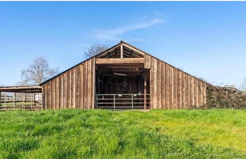 Photo of 22809 Venzke Road, Cottonwood, CA 96022 (MLS # 26-542)