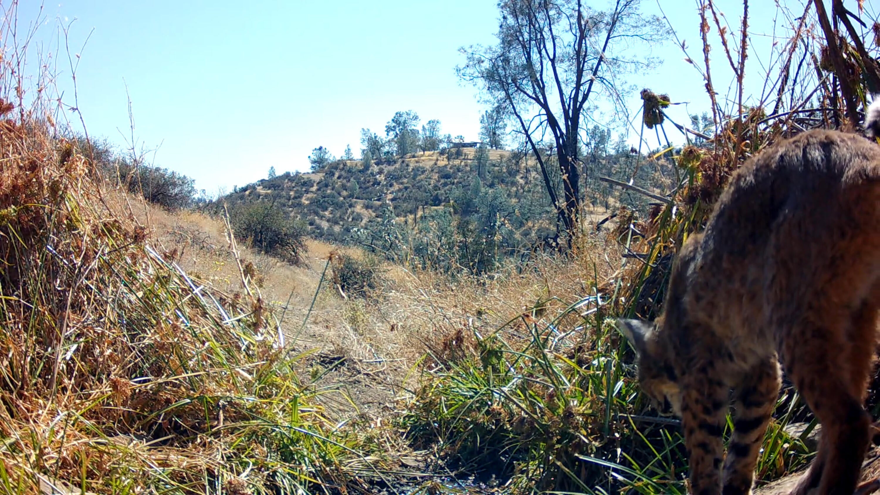 Lot 64 Gogo Road
