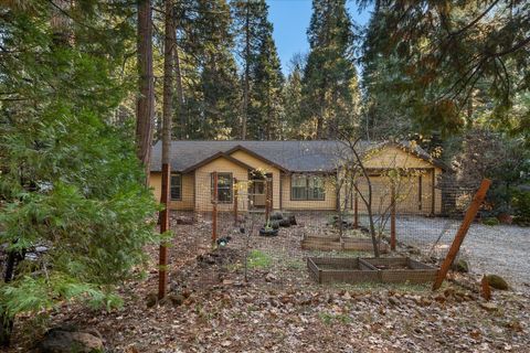Photo of 30821 Tinkerbell Lane, Shingletown, CA 96088 (MLS # 25-5202)