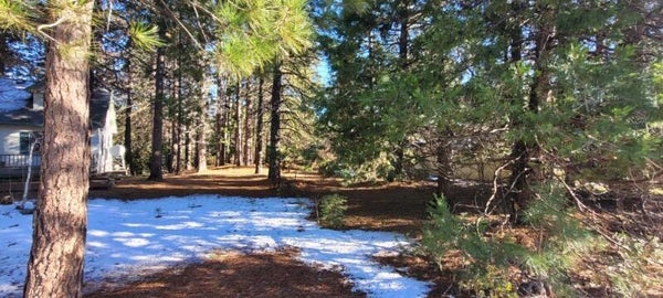 HOLIDAY LN, MOUNT SHASTA, CA 96067 - Image 2b9e5c34ff04ccddda804817d0a14f8b/3032027968