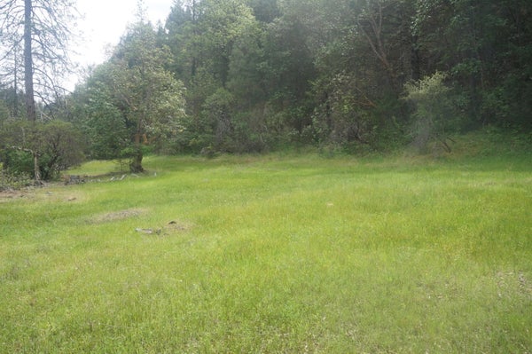6269 DUTCH CREEK RD, JUNCTION CITY, CA 96048 - Image 2d92eefa089aaabea79f4629eaea80db/94334090