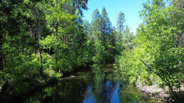 PARK AVE, BURNEY, CA 96013 - Image 2dd0eae890871406919e2cdc96669dbc/98496050